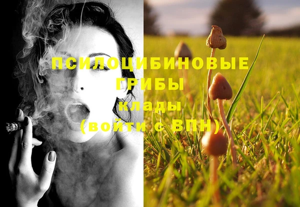 молекула духа Лихославль