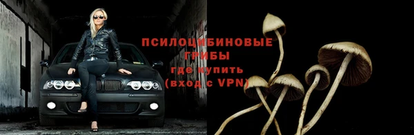 молекула духа Лихославль