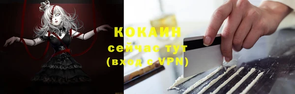 молекула духа Лихославль