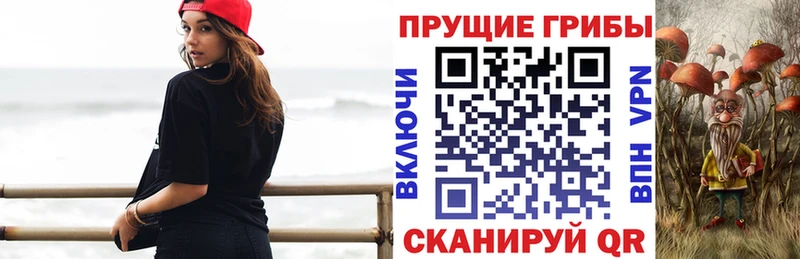 Псилоцибиновые грибы Psilocybine cubensis  Купить закладки  Амурск 